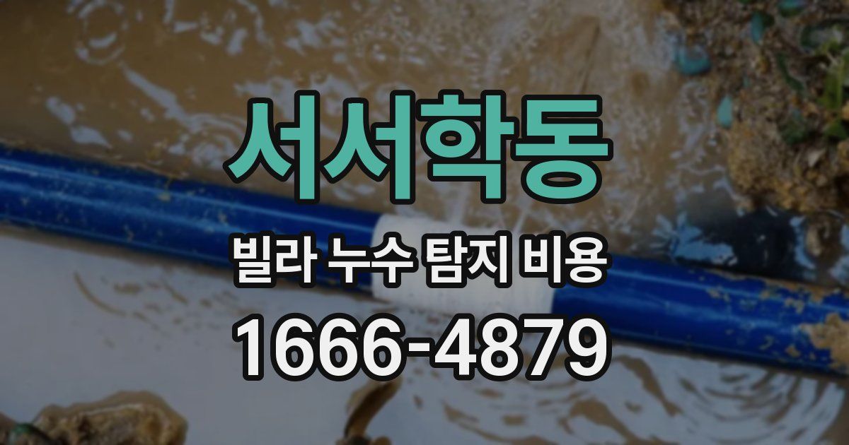 서서학동 빌라 누수 탐지 비용