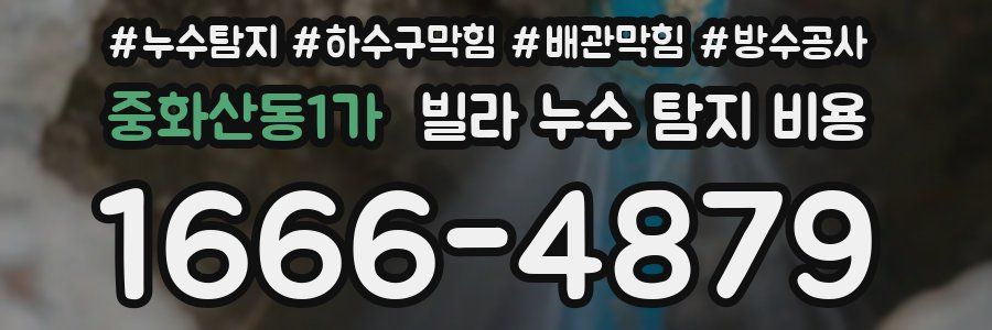 중화산동1가 빌라 누수 탐지 비용