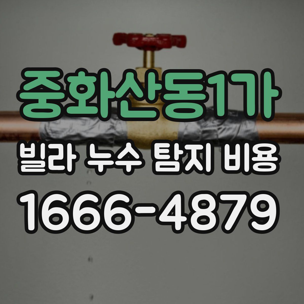 중화산동1가 빌라 누수 탐지 비용
