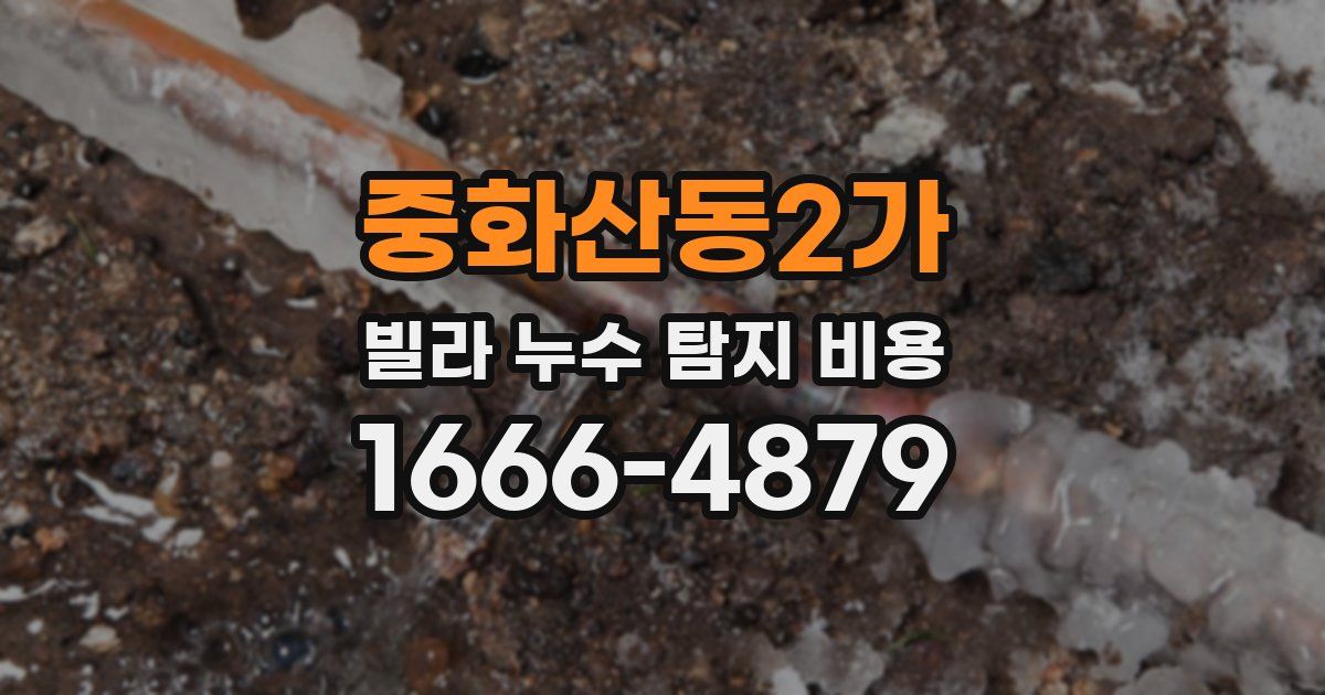 중화산동2가 빌라 누수 탐지 비용