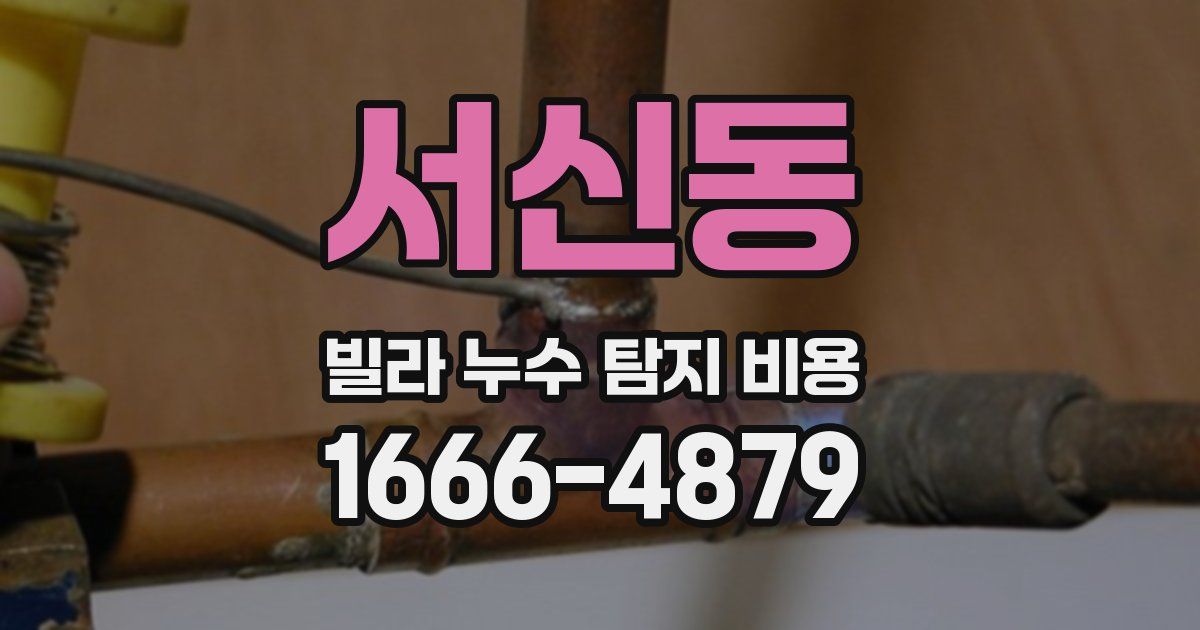서신동 빌라 누수 탐지 비용