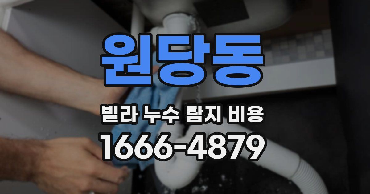 원당동 빌라 누수 탐지 비용