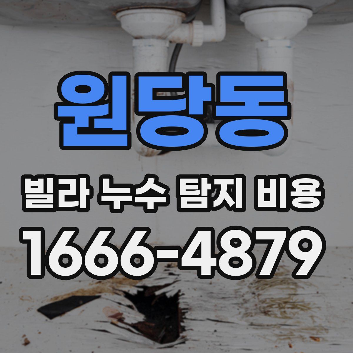 원당동 빌라 누수 탐지 비용