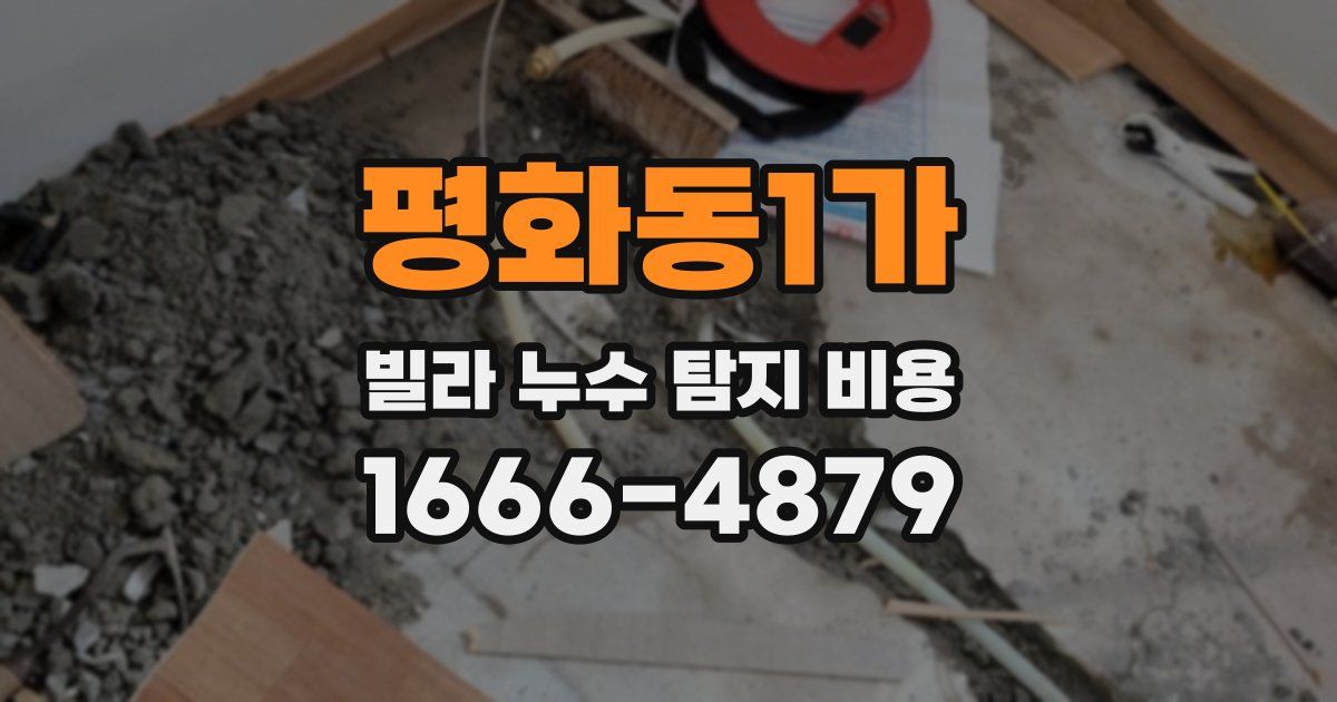 평화동1가 빌라 누수 탐지 비용