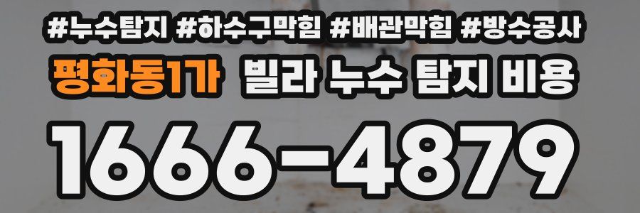 평화동1가 빌라 누수 탐지 비용