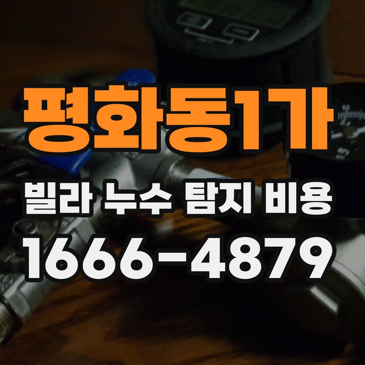 평화동1가 빌라 누수 탐지 비용