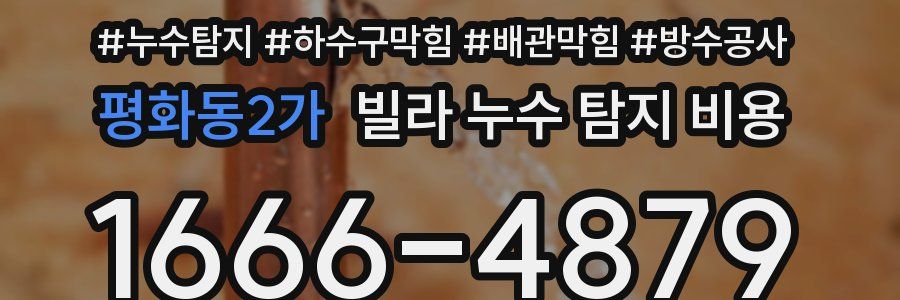 평화동2가 빌라 누수 탐지 비용