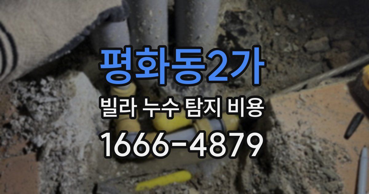 평화동2가 빌라 누수 탐지 비용
