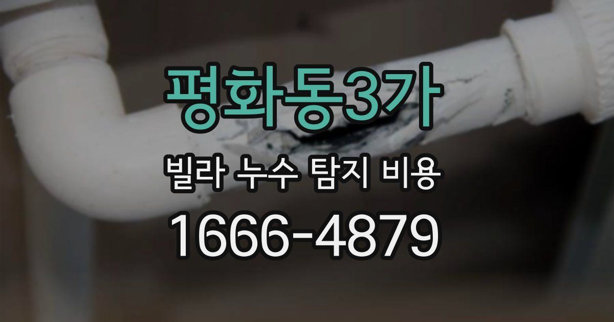 평화동3가 빌라 누수 탐지 비용