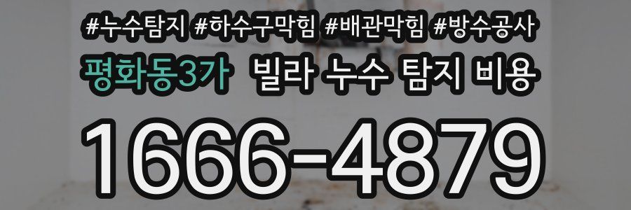 평화동3가 빌라 누수 탐지 비용