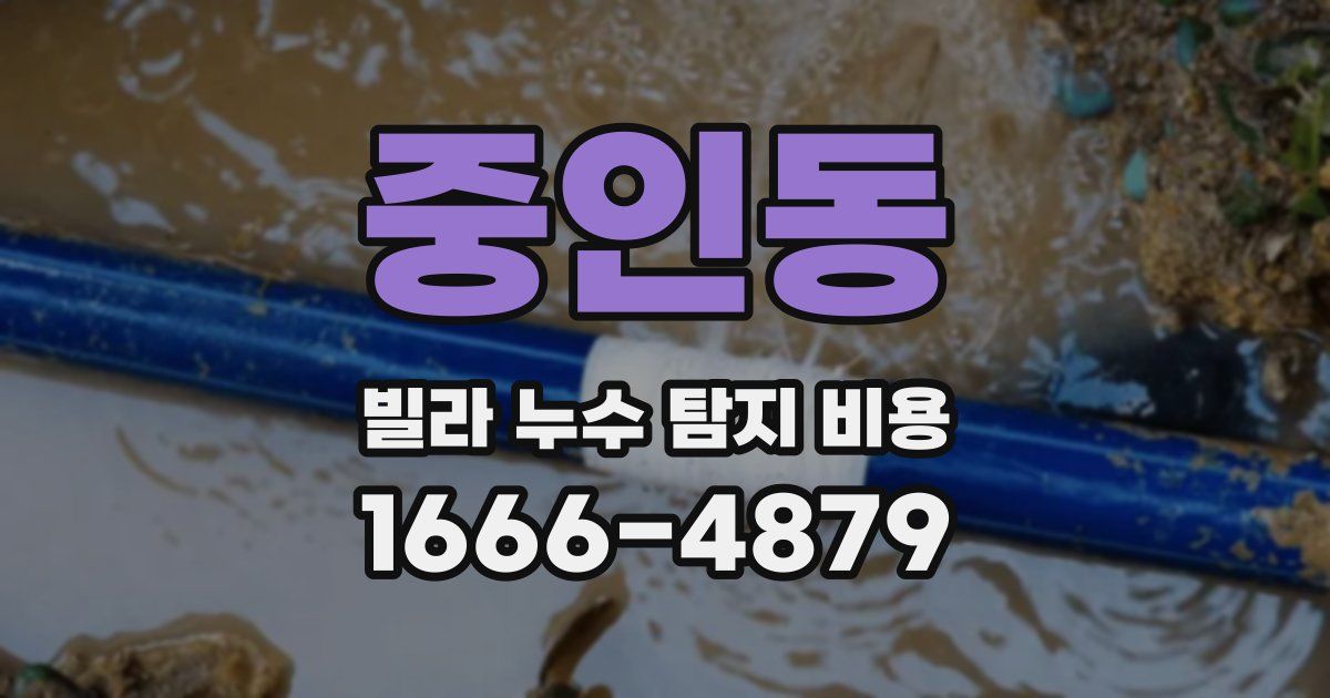 중인동 빌라 누수 탐지 비용