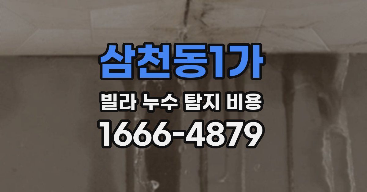 삼천동1가 빌라 누수 탐지 비용