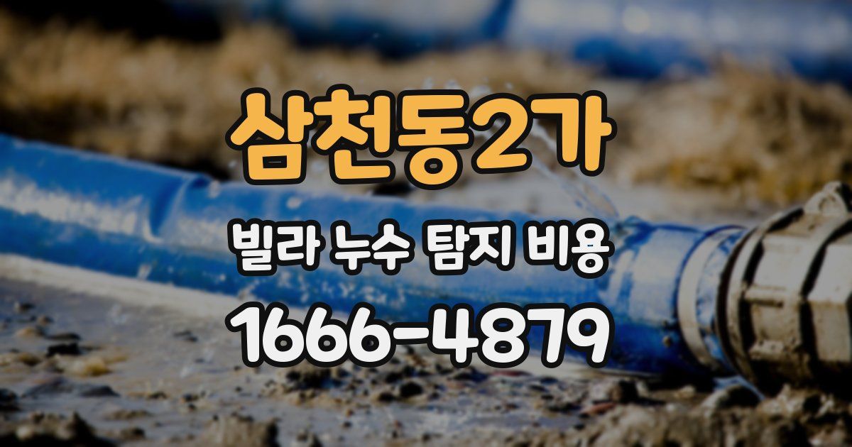 삼천동2가 빌라 누수 탐지 비용
