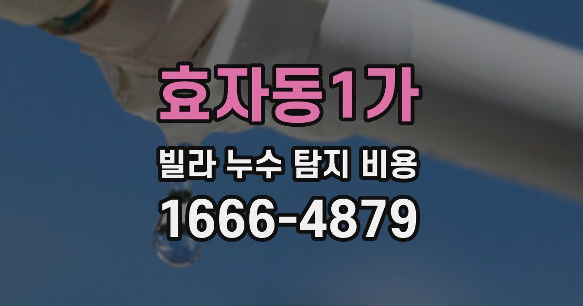 효자동1가 빌라 누수 탐지 비용