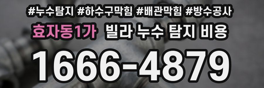 효자동1가 빌라 누수 탐지 비용