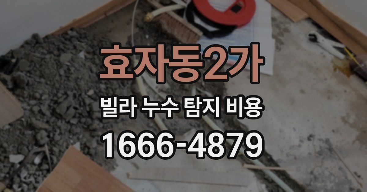 효자동2가 빌라 누수 탐지 비용