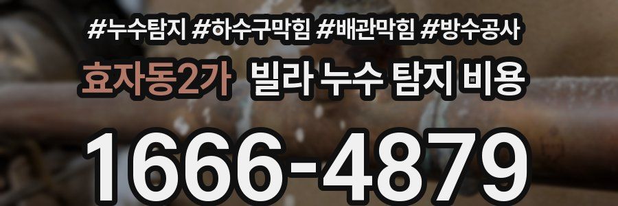 효자동2가 빌라 누수 탐지 비용