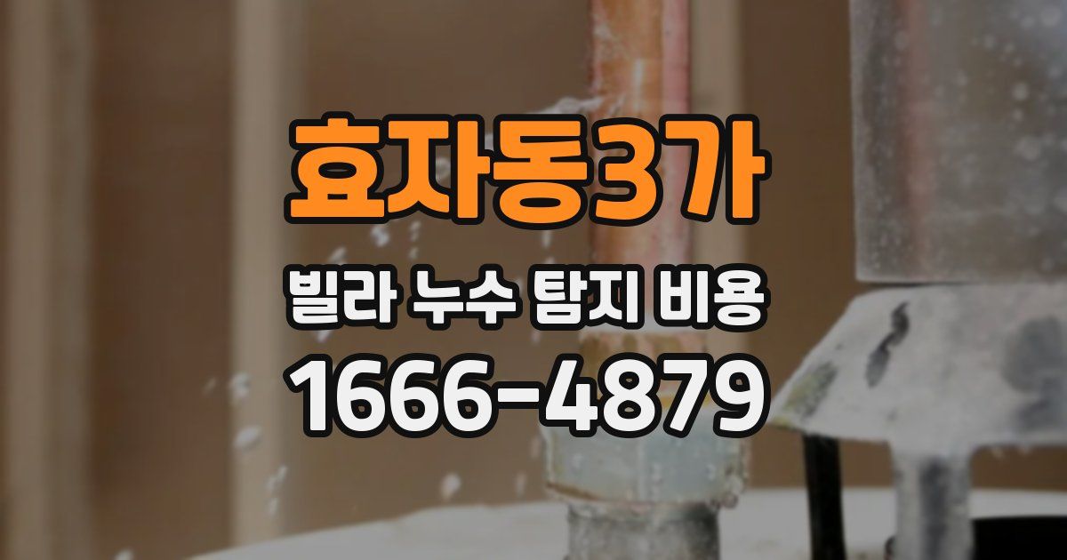 효자동3가 빌라 누수 탐지 비용