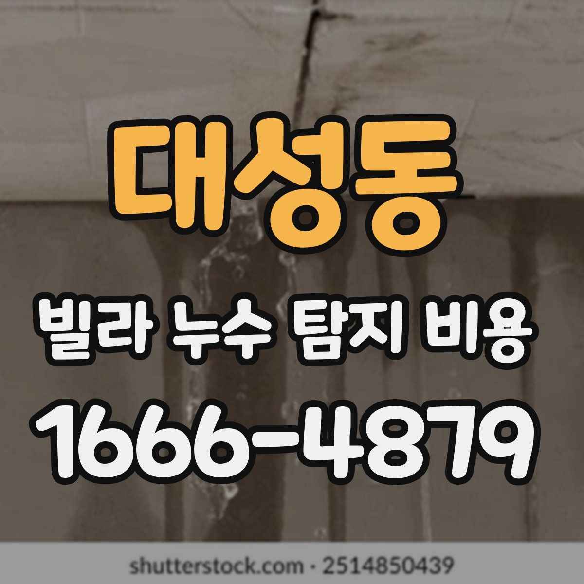 대성동 빌라 누수 탐지 비용