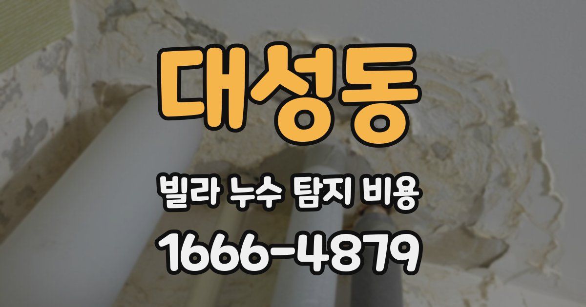 대성동 빌라 누수 탐지 비용