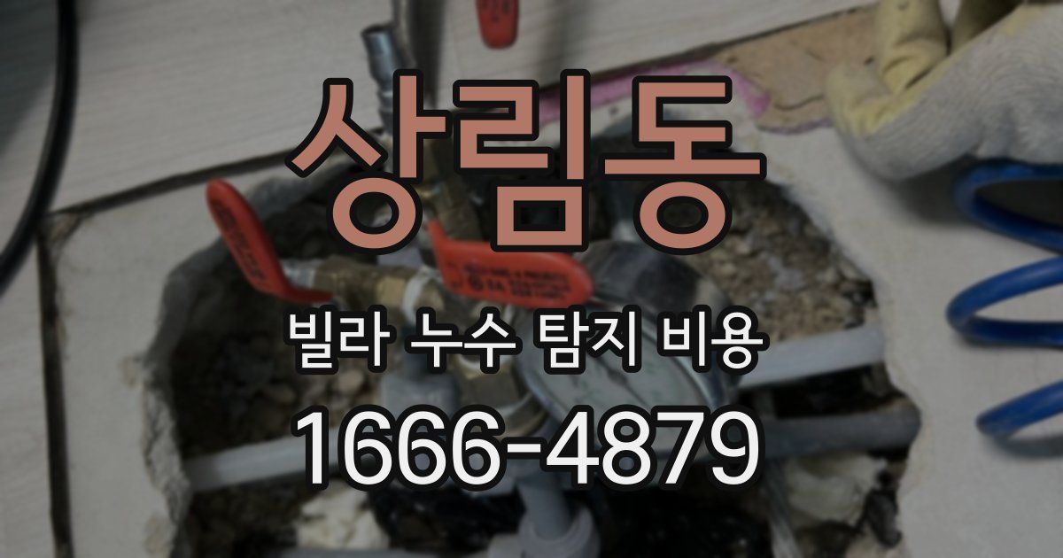 상림동 빌라 누수 탐지 비용