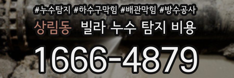 상림동 빌라 누수 탐지 비용