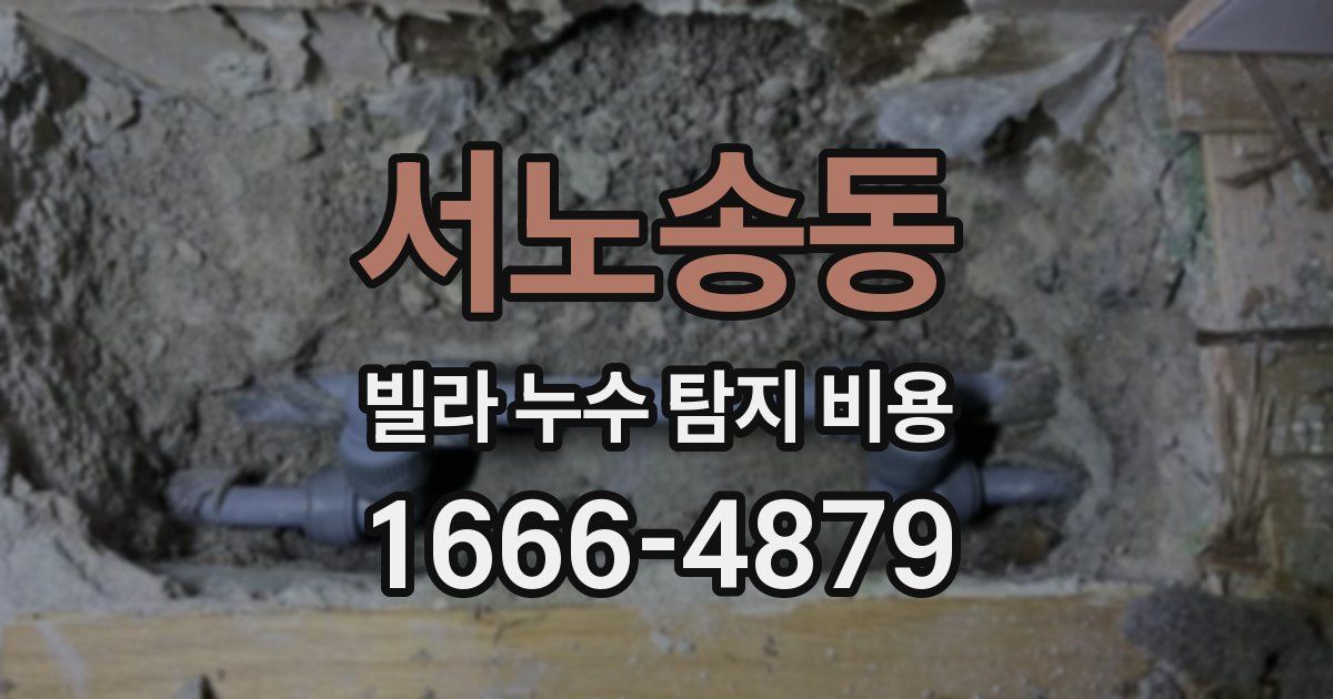 서노송동 빌라 누수 탐지 비용