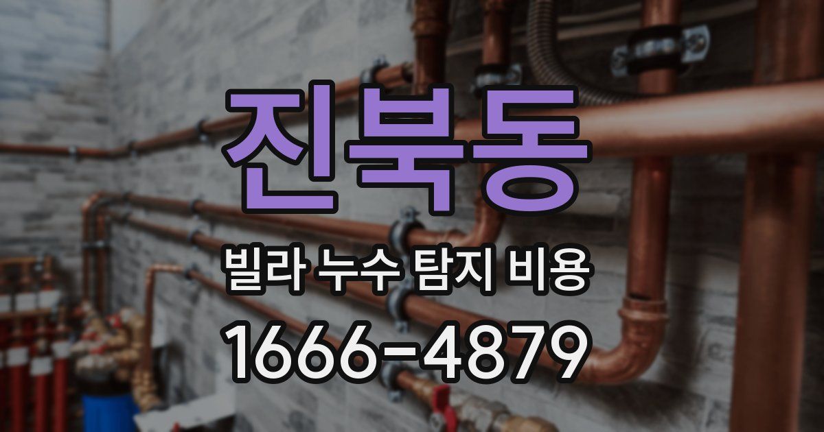 진북동 빌라 누수 탐지 비용