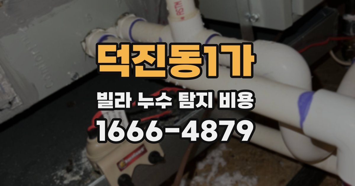 덕진동1가 빌라 누수 탐지 비용