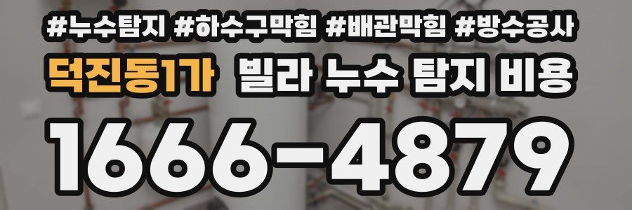 덕진동1가 빌라 누수 탐지 비용
