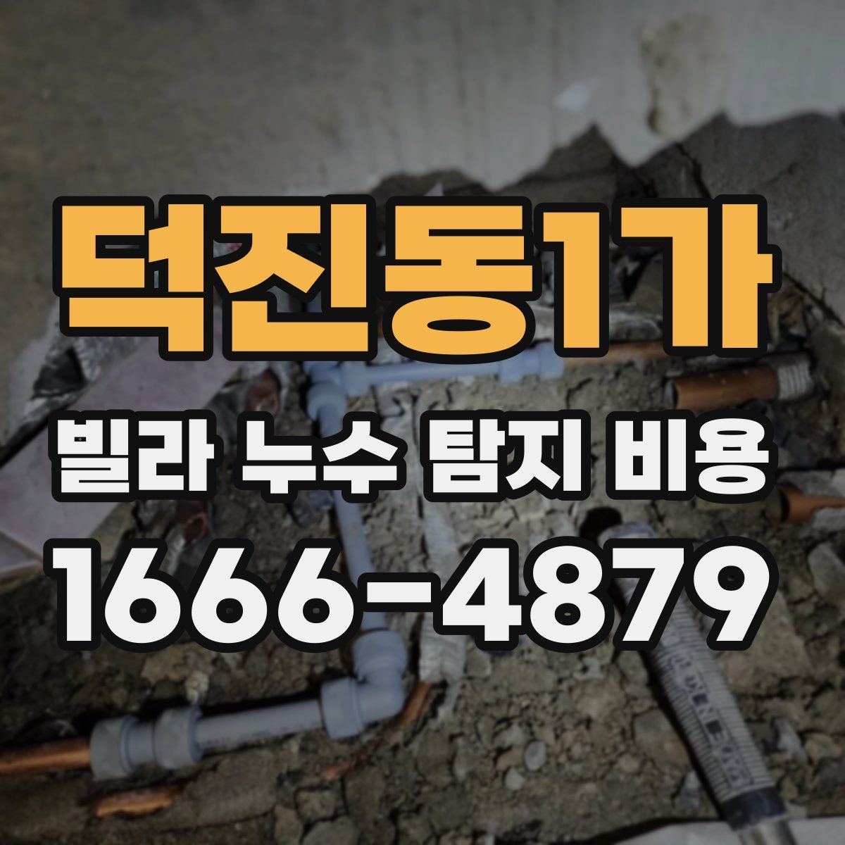 덕진동1가 빌라 누수 탐지 비용