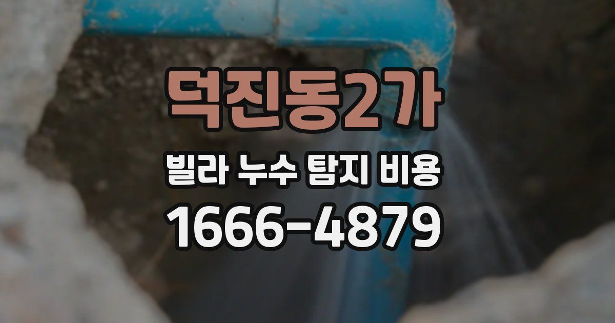 덕진동2가 빌라 누수 탐지 비용