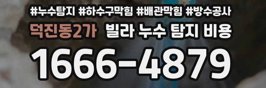 덕진동2가 빌라 누수 탐지 비용