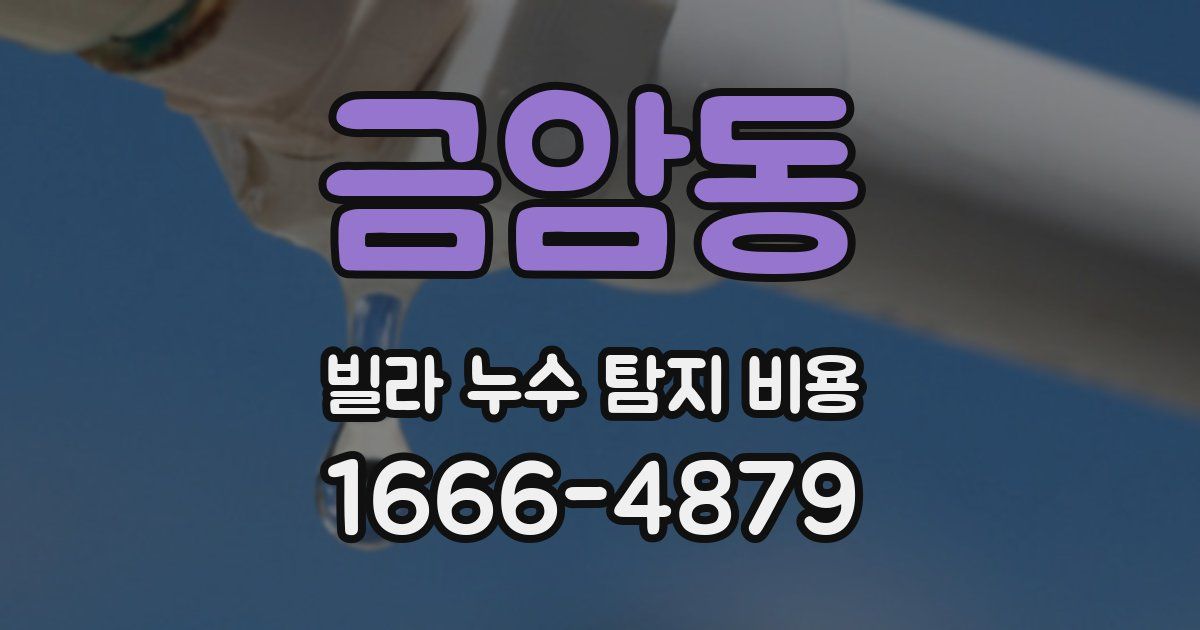 금암동 빌라 누수 탐지 비용