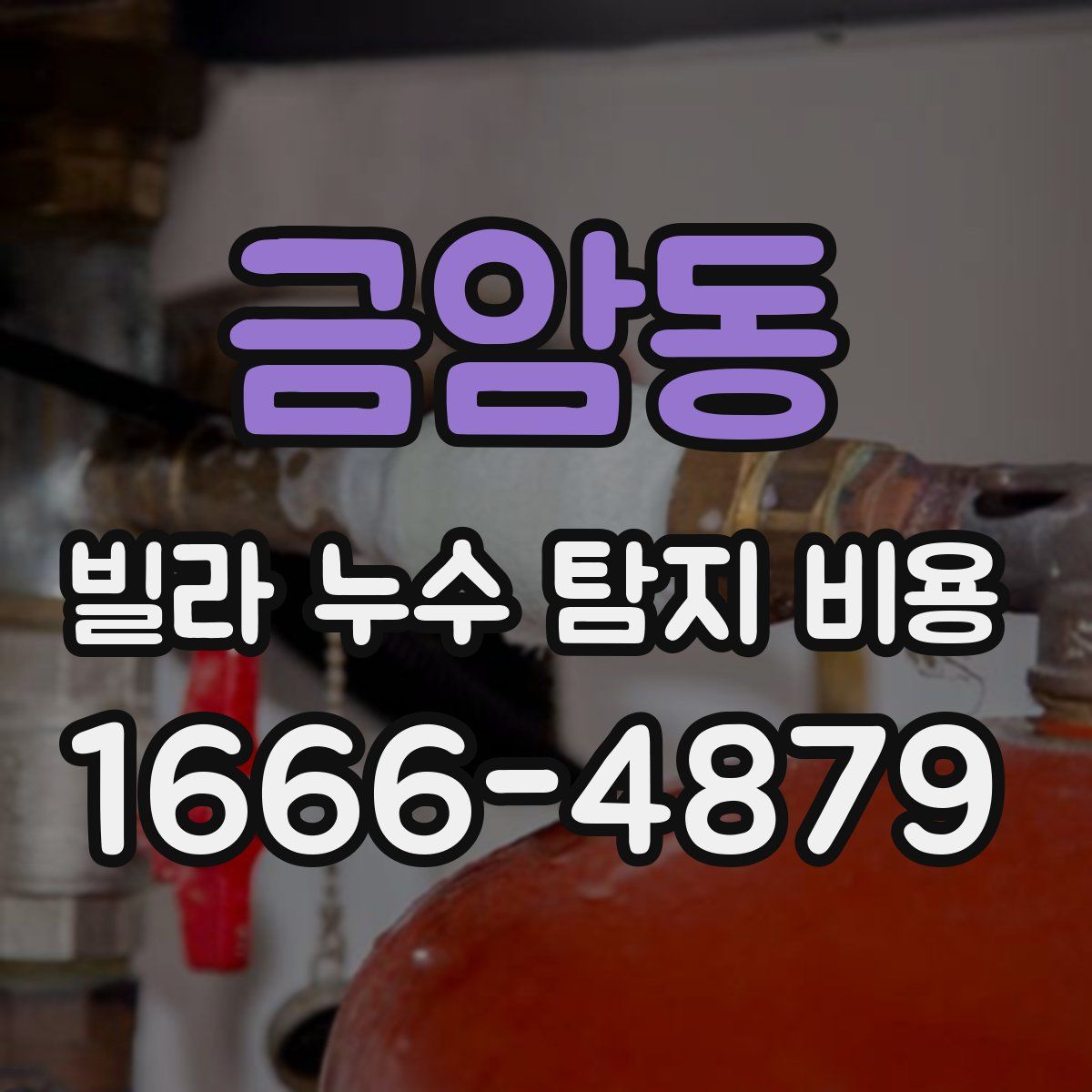 금암동 빌라 누수 탐지 비용