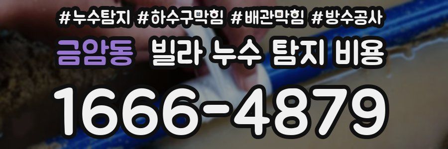 금암동 빌라 누수 탐지 비용