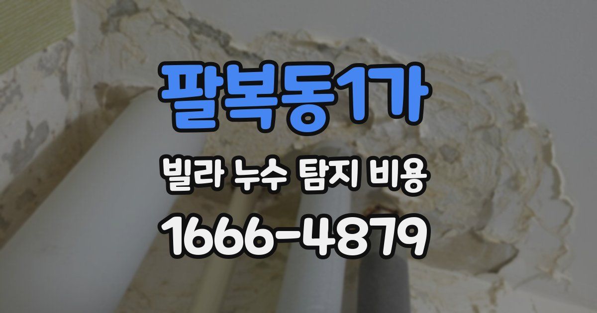 팔복동1가 빌라 누수 탐지 비용