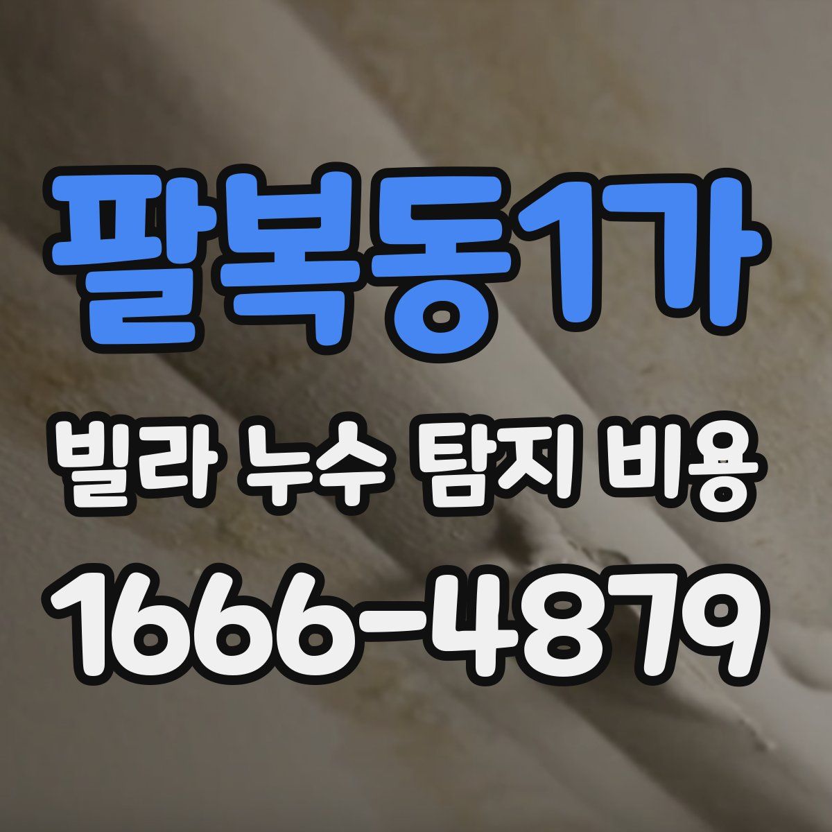 팔복동1가 빌라 누수 탐지 비용