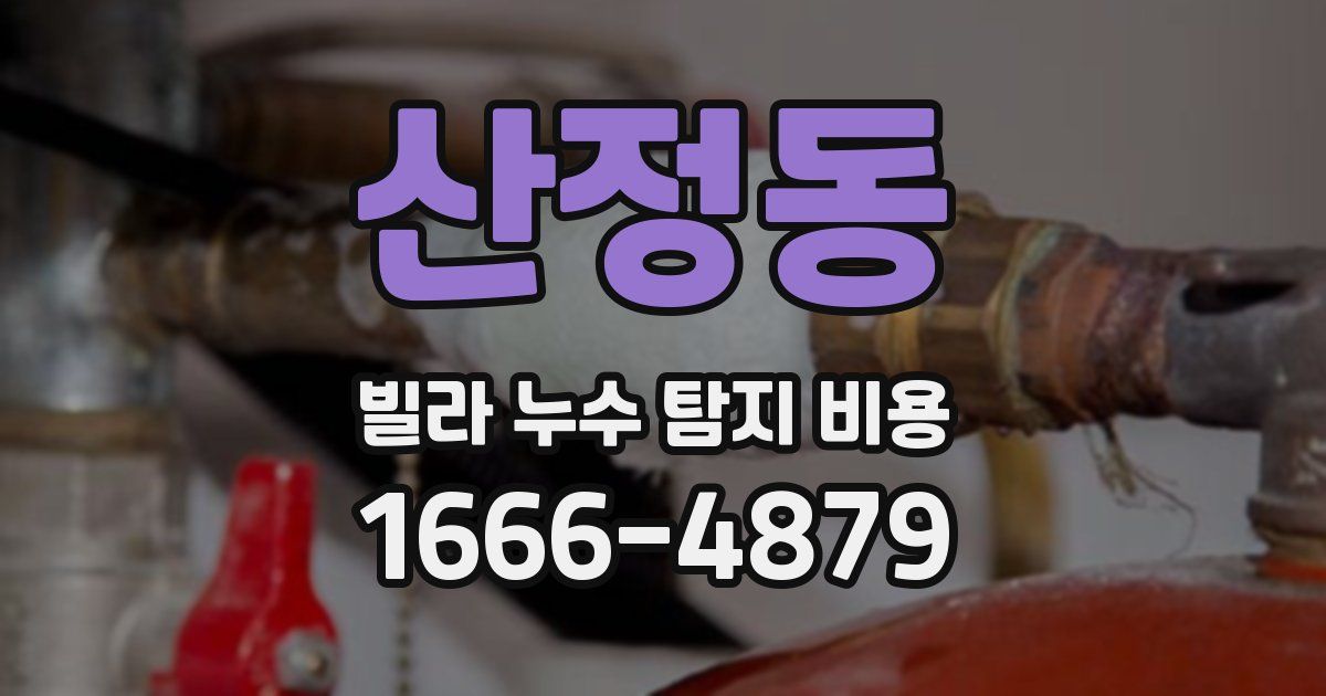 산정동 빌라 누수 탐지 비용
