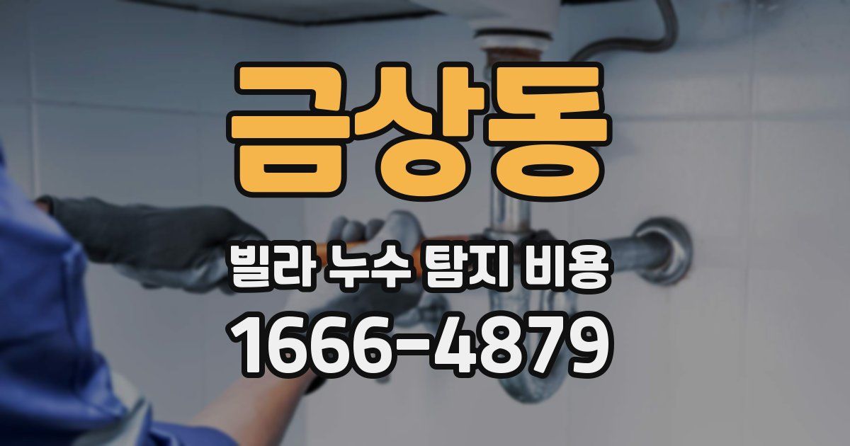 금상동 빌라 누수 탐지 비용