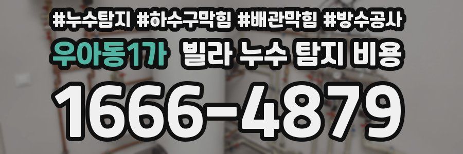 우아동1가 빌라 누수 탐지 비용