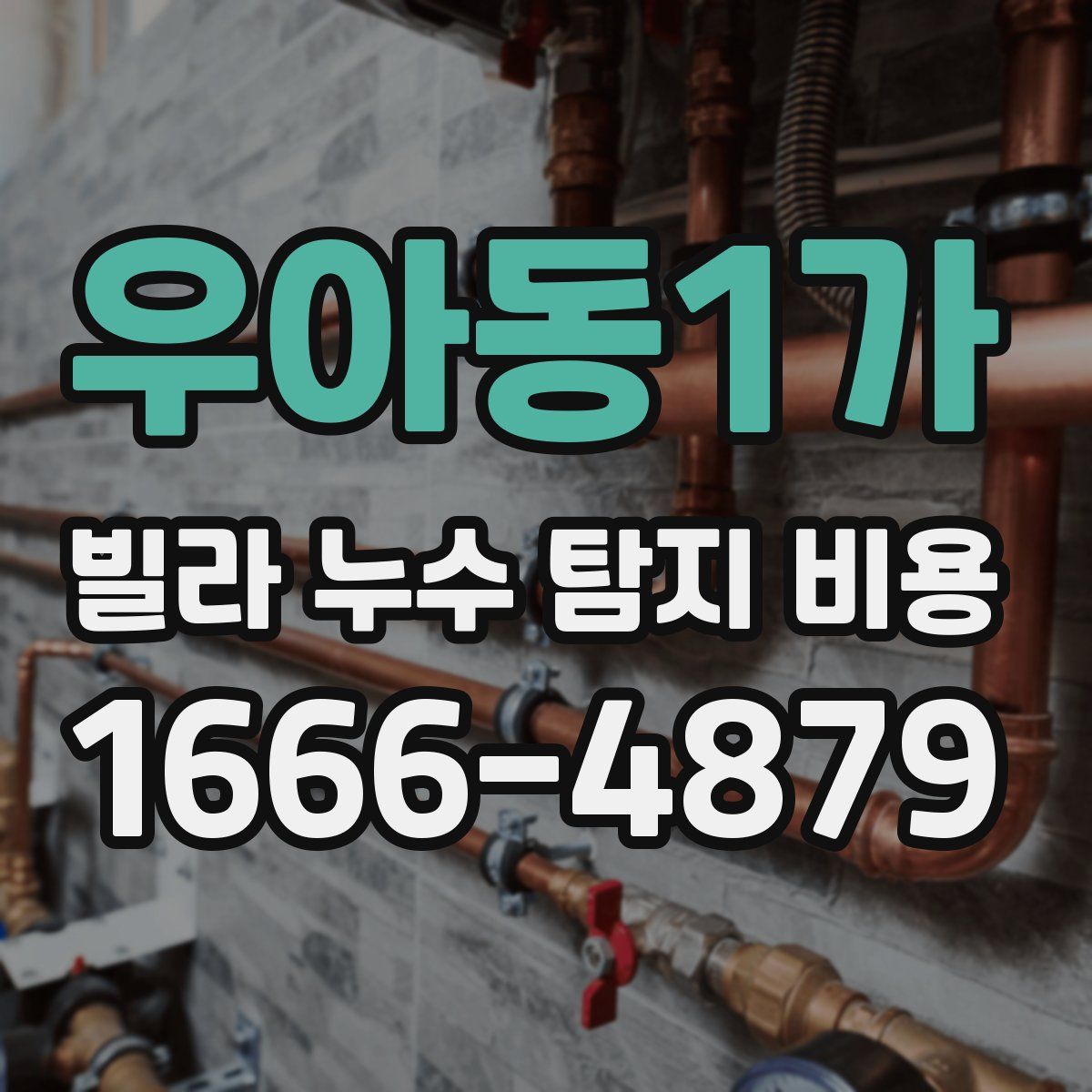 우아동1가 빌라 누수 탐지 비용