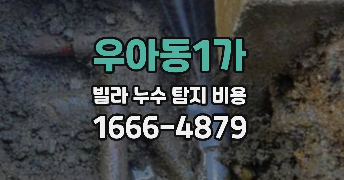 우아동1가 빌라 누수 탐지 비용