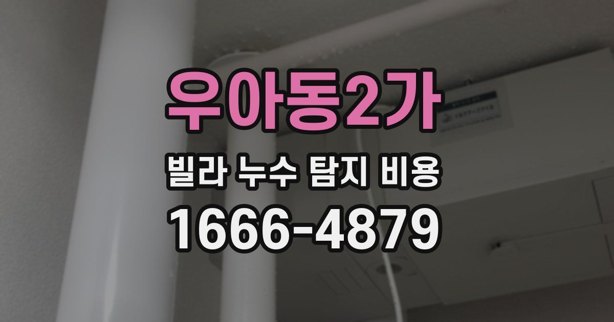 우아동2가 빌라 누수 탐지 비용
