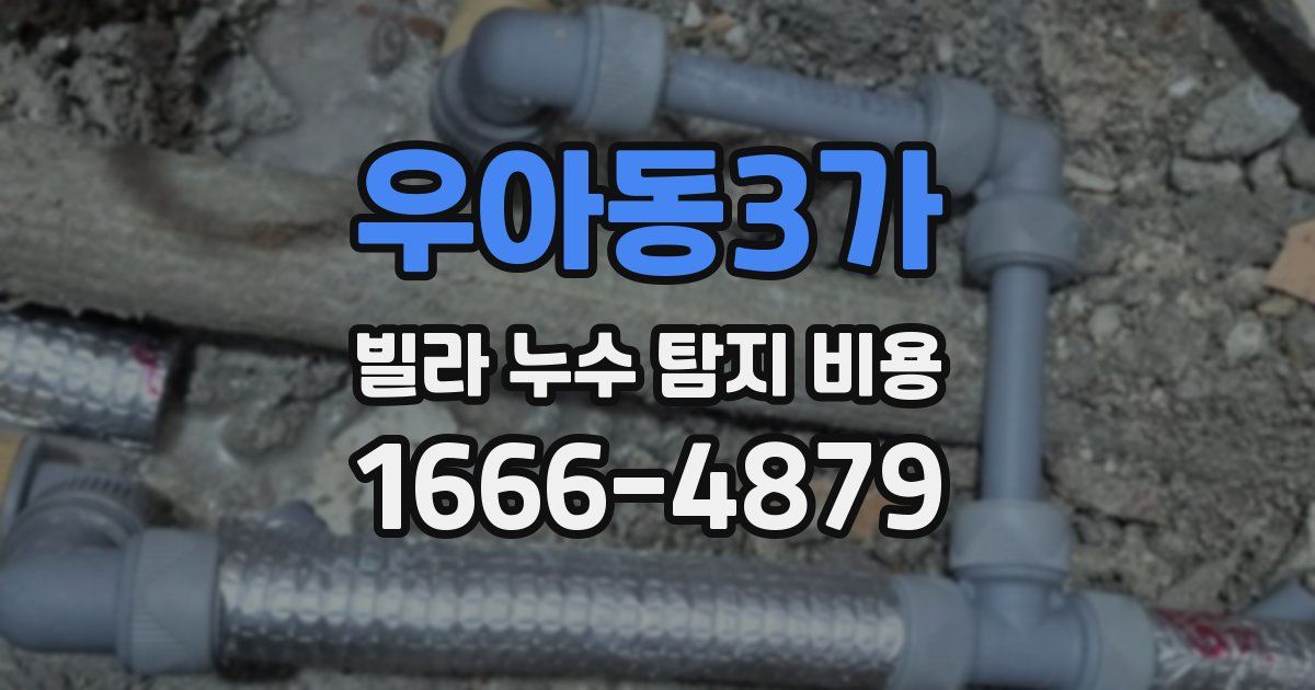 우아동3가 빌라 누수 탐지 비용