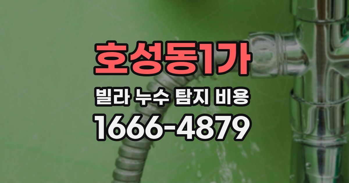 호성동1가 빌라 누수 탐지 비용