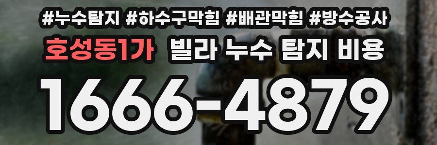 호성동1가 빌라 누수 탐지 비용