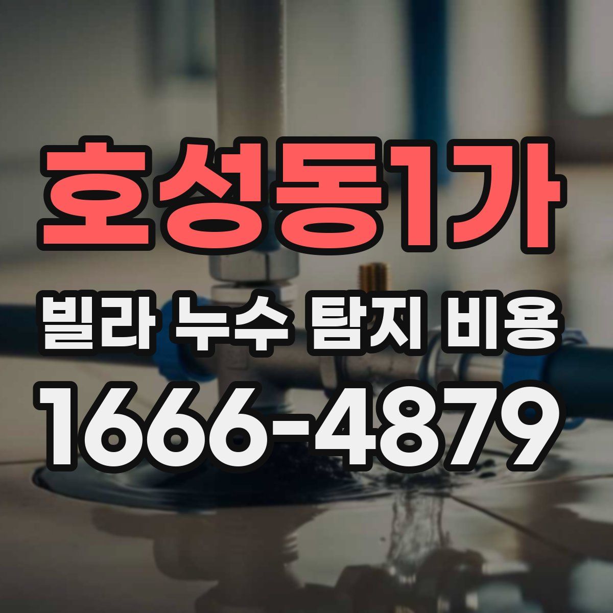 호성동1가 빌라 누수 탐지 비용