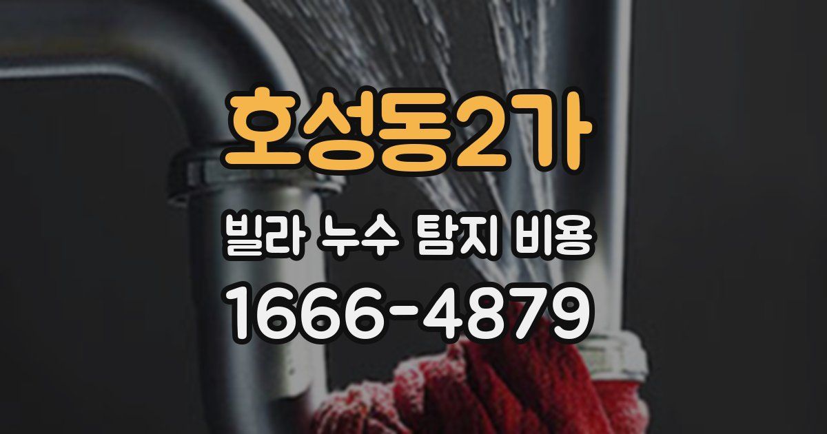 호성동2가 빌라 누수 탐지 비용