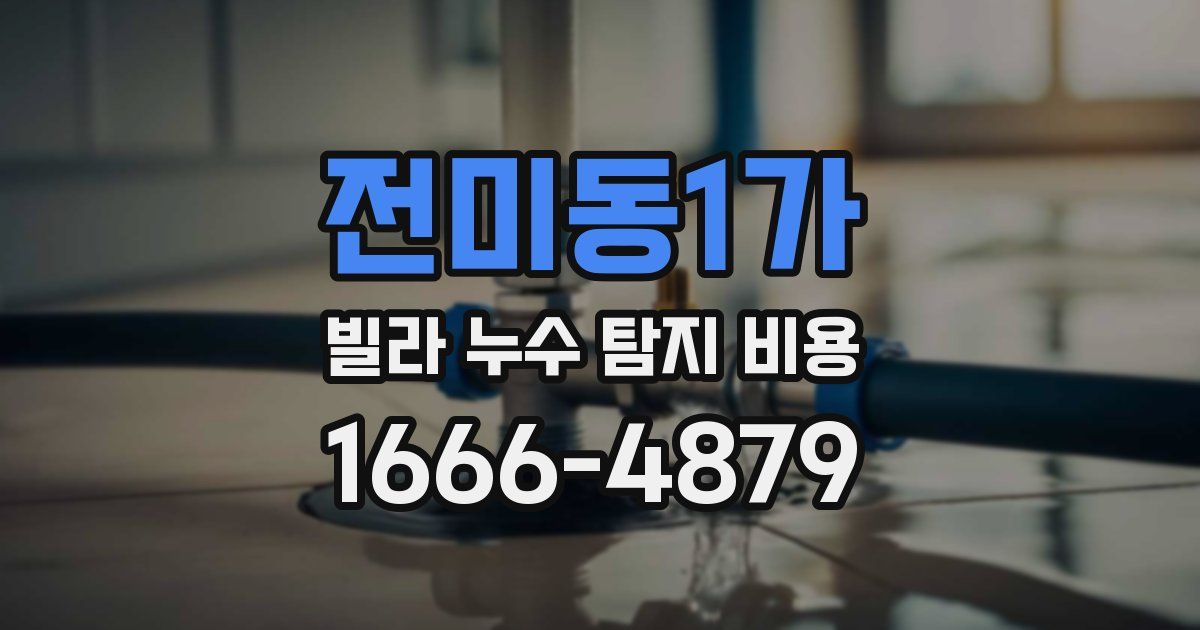 전미동1가 빌라 누수 탐지 비용